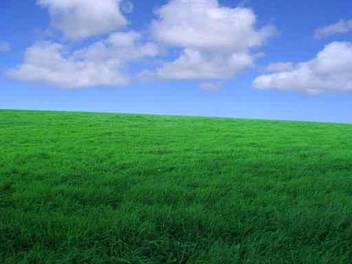Horizon Vert Wall Decal