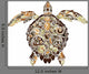 Abstract Turtle Wall Decal