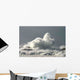 Tempete Wall Decal