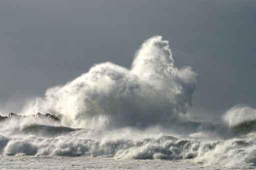 Tempete Wall Decal