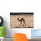 Wadi Rum Wall Decal