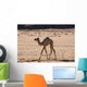 Wadi Rum Wall Decal