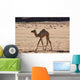 Wadi Rum Wall Decal