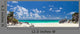 Caribbean Beach