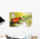 Red Poison Dart Frog