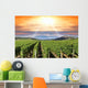 Sunset Vineyard
