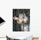 Monkey Wall Mural