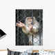Monkey Wall Mural