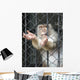 Monkey Wall Mural