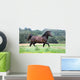 Pony Wall Mural