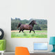 Pony Wall Mural