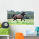 Pony Wall Mural