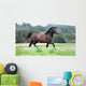 Pony Wall Mural