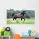 Pony Wall Mural