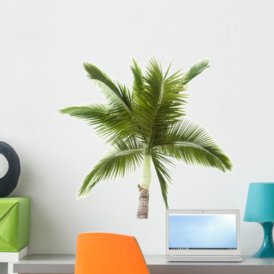Palm Tree White Wall Decal shown on a wall
