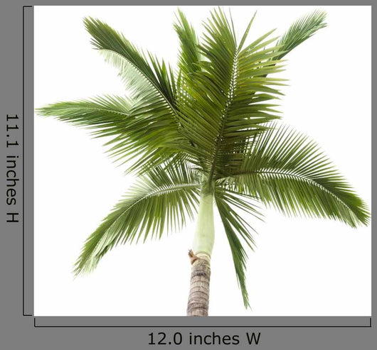 Palm Tree White Wall Decal