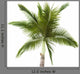 Palm Tree White Wall Decal