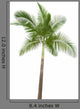 Palm Tree White Wall Decal
