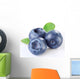 Blueberries With Leaves Wall Decal