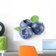 Blueberries With Leaves Wall Decal