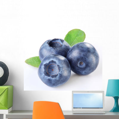 Blueberries with Leaves Wall Decal shown on a wall