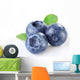 Blueberries With Leaves Wall Decal