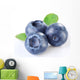 Blueberries With Leaves Wall Decal