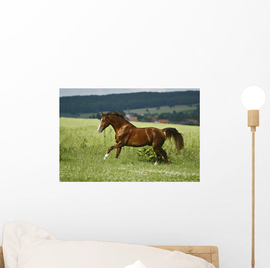 first moments Wall Mural