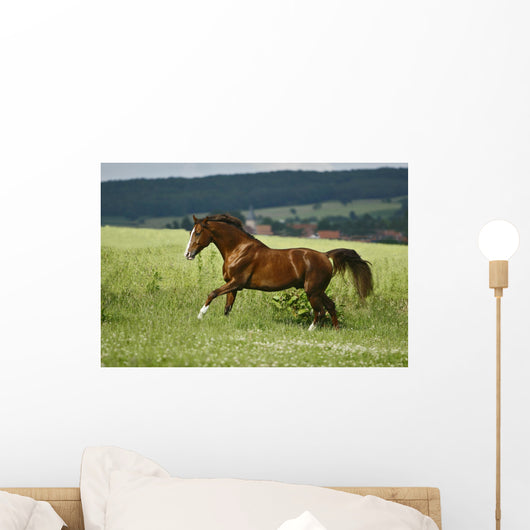 first moments Wall Mural