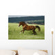 first moments Wall Mural