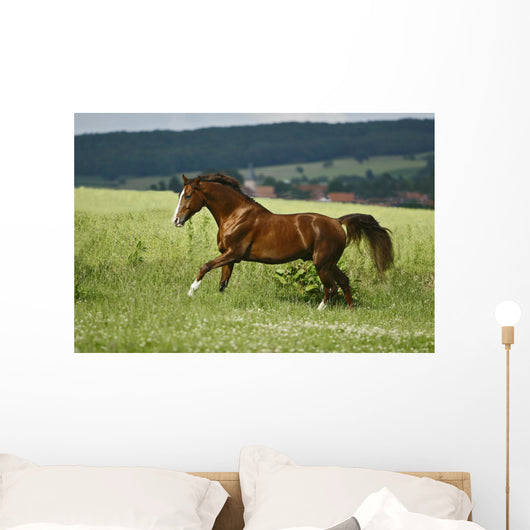 first moments Wall Mural