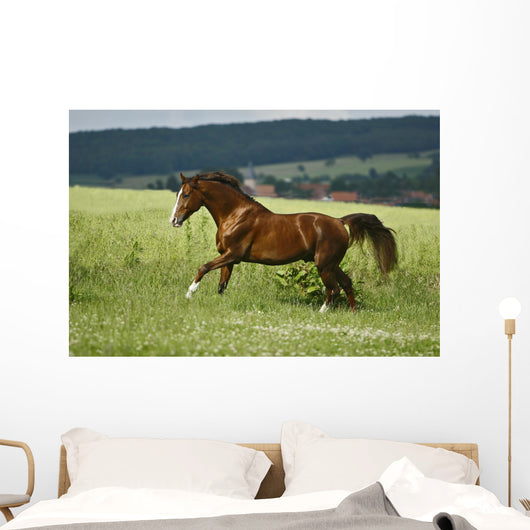 first moments Wall Mural