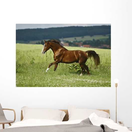 first moments Wall Mural