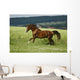 first moments Wall Mural