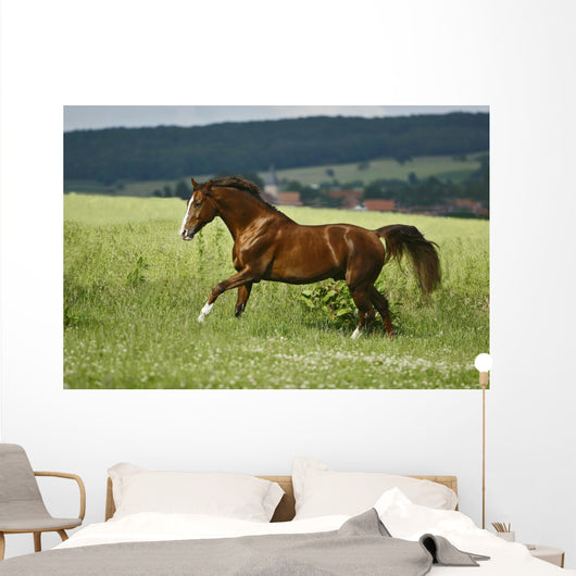 first moments Wall Mural