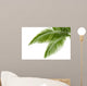 Palm Leaves Wall Mural