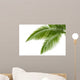 Palm Leaves Wall Mural