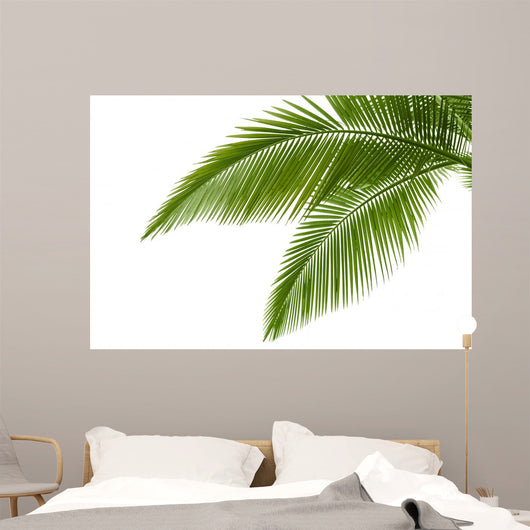 Palm Leaves Wall Mural