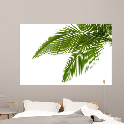 Palm Leaves Wall Mural