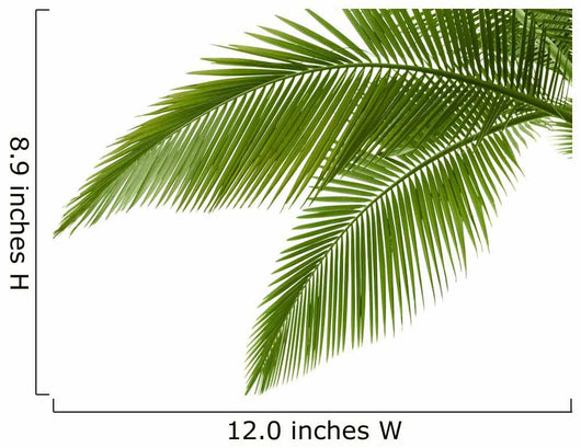 Palm Leaves Wall Mural