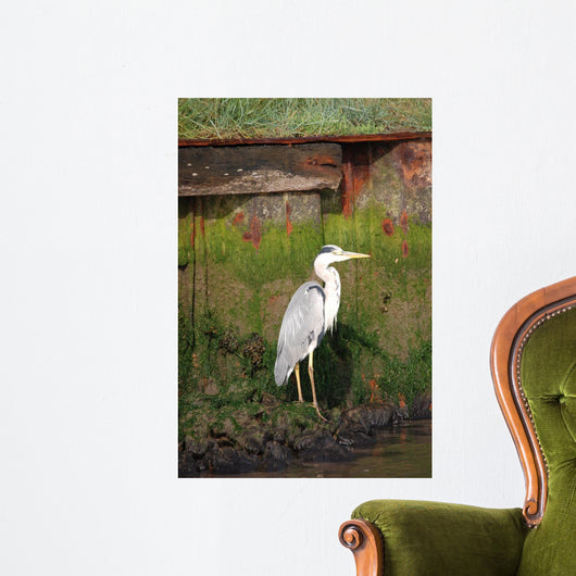 Heron Wall Mural
