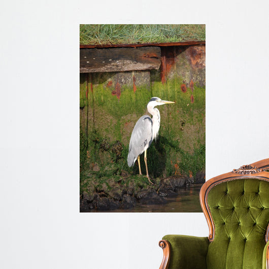 Heron Wall Mural