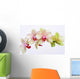 Orchideen Blten Zen Wellness