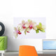 Orchideen Blten Zen Wellness