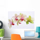 Orchideen Blten Zen Wellness