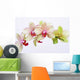 Orchideen Blten Zen Wellness