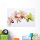 Orchideen Blten Zen Wellness