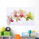 Orchideen Blten Zen Wellness