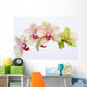 Orchideen Blten Zen Wellness