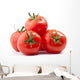 Tomatos Wall Decal